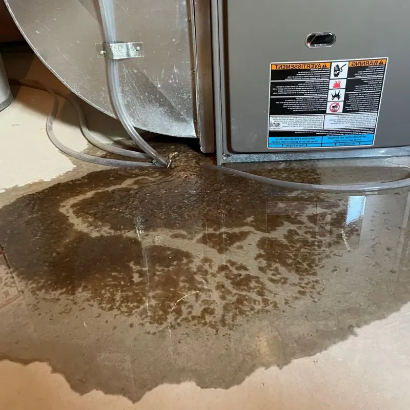 Pipe Burst and Leak Restoration in Duchesne County, UT