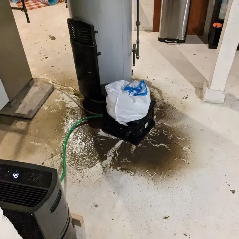 Sewage Backup Cleanup Service in Duchesne County, UT